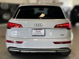 Used 2021 Audi Q5 2.0T Premium Plus w/ Premium Plus Package image 5
