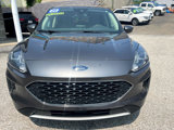 Used 2020 Ford Escape SE image 2