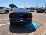 Used 2020 Ford Mustang Coupe w/ Equipment Group 101A image 4