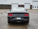 Used 2019 Ford Mustang Coupe w/ Equipment Group 101A image 4