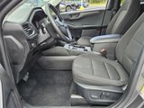Used 2024 Ford Escape Active w/ Tech Pack #1 image 5