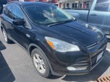 Used 2016 Ford Escape SE w/ SE Leather Comfort Package image 5