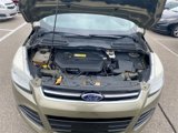 Used 2013 Ford Escape SEL image 2