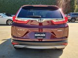 Used 2019 Honda CR-V EX image 5