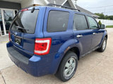 Used 2008 Ford Escape XLT image 4