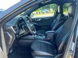 Certified 2024 Ford Escape ST-Line image 3