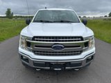 Used 2019 Ford F150 XLT w/ Equipment Group 302A Luxury image 2