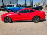 Used 2022 Ford Mustang Premium image 4