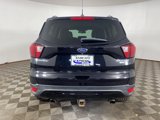 Used 2019 Ford Escape Titanium image 4