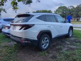 Used 2023 Hyundai Tucson SEL image 4