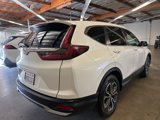 Used 2020 Honda CR-V EX-L image 3