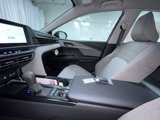 New 2025 Toyota Camry LE image 4