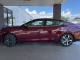 Used 2019 Nissan Maxima 3.5 SL image 2