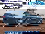 View Video