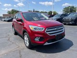 Used 2019 Ford Escape SEL image 4