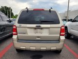 Used 2010 Ford Escape XLT image 4