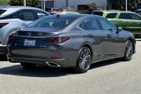 Used 2025 Lexus ES 350 w/ Premium Package image 4