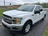 Used 2019 Ford F150 XLT image 3