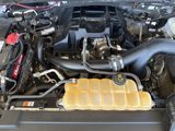 Used 2016 Ford F150 XLT image 5