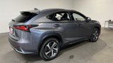 Used 2020 Lexus NX 300h AWD w/ Premium Package image 3