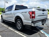 Used 2019 Ford F150 XLT w/ Equipment Group 302A Luxury image 5