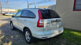 Used 2010 Honda CR-V EX-L image 3