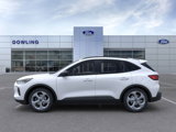 New 2025 Ford Escape ST-Line w/ Tech Pack #1 image 3