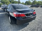 Used 2014 Honda Accord EX-L image 5