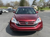 Used 2010 Honda CR-V EX-L image 2