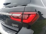 New 2024 INFINITI QX80 Sensory image 5