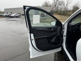 New 2025 Ford Escape Active w/ Cold Weather Package image 6