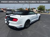 Used 2023 Ford Mustang Premium w/ Equipment Group 201A image 5