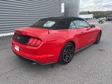 Used 2022 Ford Mustang Premium image 3