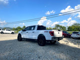 Used 2021 Ford F150 XLT w/ Equipment Group 301A Mid image 4