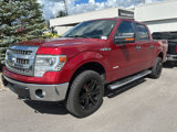 Used 2014 Ford F150 XLT w/ Equipment Group 302A Luxury image 2