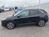 Used 2022 Ford Escape SEL image 2