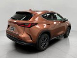 Certified 2025 Lexus NX 350 AWD image 3