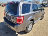 Used 2010 Ford Escape Limited image 5