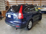 Used 2009 Honda CR-V EX-L image 5