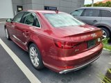 Used 2019 Audi A4 2.0T Premium Plus w/ Premium Plus Package image 3