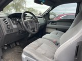 Used 2014 Ford F150 XLT w/ Equipment Group 302A Luxury image 3