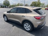 Used 2020 Ford Escape S image 2