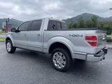 Used 2014 Ford F150 Platinum image 4