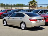 Used 2015 Honda Accord EX-L image 4