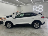 Used 2020 Ford Escape SE image 6