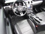 Used 2020 Ford Mustang Premium image 2