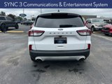 Used 2020 Ford Escape SE image 5
