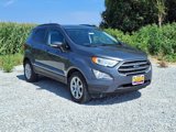 Used 2019 Ford EcoSport SE image 2