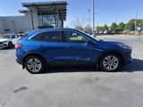 Used 2022 Ford Escape SEL w/ Technology Package image 2