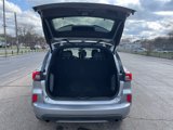 Used 2024 Ford Escape ST-Line image 6